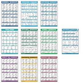 10 Pack - Exercise Workout Poster Set - Bodyweight Volume 1 & 2, Dumbbell, Suspension, Kettlebell, Resistance Bands, Stretching, Barbell, Yoga Poses, Exercise Ball (LAMINATED, 18" x 24")