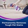 Bissell Woolite® Advantage Pet Stain & Odor Remover + Oxy,