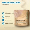 Extracto Hongo Melena De León Orgánico Polvo 100g Adaptogeno Sabor
