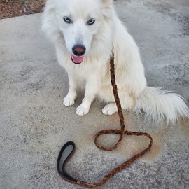 BlazingPaws Vibrania 6 ft Super Soft Distressed Leather Dog Leash, Handmade Braided in 3 Brown Shades with Suede Leather Padded Handle (6 Ft L x 3/4" W Braided, Brown Mix)