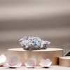 crystalmiracle Natural Cavansite Crystal Rock for Healing Reiki Feng Shui