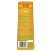 Garnier Fructis Nutri-Repair 3 Shampoo 315mL
