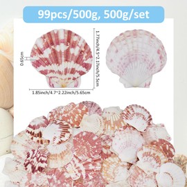 SUPERFINDINGS 500G About 99PCS Natural Seashell 5-6cm Scallop Shells Sea Beach Shells Large Colorful Seashells for Wall Home Fish Tank Decor DIY Crafts Shell Decorations