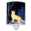 Caroline's Treasures SS8392CNL Starry Night Golden Retriever Ceramic Night Light