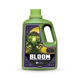Bloom (1 Gallon)