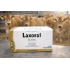 2 Laxoral 5*120 Grs Fermalab Laxante Oral