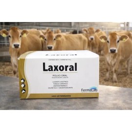 2 Laxoral 5*120 Grs Fermalab Laxante Oral