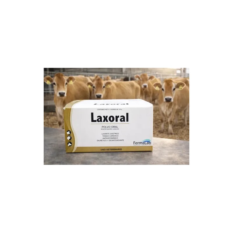 2 Laxoral 5*120 Grs Fermalab Laxante Oral