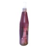 Salerm Brushing Spray 250ml