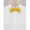 Allegra K Bowtie, Bowtie, Ribbon, Formal, Wedding, School Entrance Ceremony,