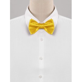 Allegra K Bowtie, Bowtie, Ribbon, Formal, Wedding, School Entrance Ceremony, Plain, Adult, Men's, gold