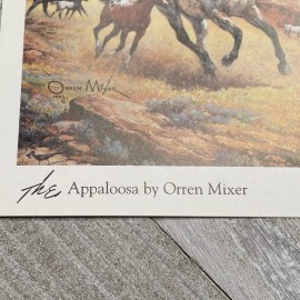 Orren Mixer The Appaloosa Horse Postcard Blank Back 4.25 x 6 Mare and Foal 1999
