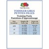 Fruit of the Loom girls Toddler 3-Pack Training Pants, 3