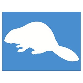 EZ-STIK Beaver Decal StickerJ510 8 inch Wide