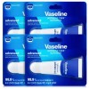 Unknown 바세 립밤 4개 립에센스 어드밴스드 체리 립케어 Vase Lip Balm Set of 4 Lip Essence Advanced Cherry Lip Care