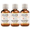 Greenwood Essential Pure Thyme Essential Oil (Thymus vulgaris) Steam Distilled