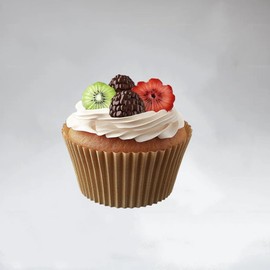 200pcs Natural Standard Cupcake Liners for Baking Cup, No Smell, Grease-proof Muffin Liners, Standard Size Cupcake Cups for Party, Wedding, Birthday