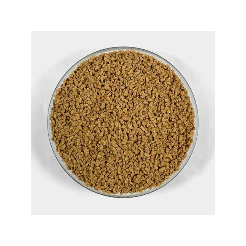 호로파 씨앗 1kg(500gx2) Fenugreek Seeds 1kg (500gx2)