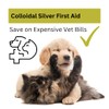 Nature's Greatest Secret Antibacterial Soothing Premium Quality Colloidal Silver Petcare