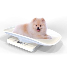Hamkaw Digital Pet Weight Scale with LCD Electronic Scales For Measuring Baby, Small Dog, Cat, Dog (Capacity up to 10 kg /22 lb) White