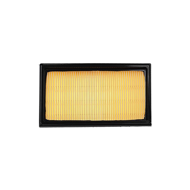 vhbw Air Filter Compatible with Nissan Qashqai/Qashqai+2 (J10, NJ10, JJ10E)