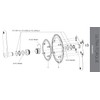 Campagnolo Ultra-Torque Bottom Bracket Bearing Circlip, Silver, 1 Piece