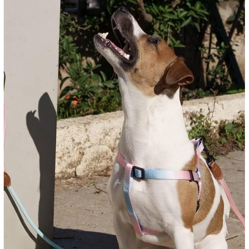Dog Leash Hitch Parking Hook Heavy Duty Wall-Mount Stainless Steel