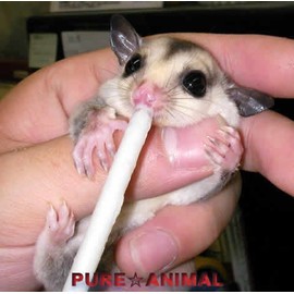 Nursing Dropper (Alone)