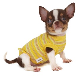 LOPHIPETS 100% Cotton Rib Dog Shirt Vest for Small Dogs Teacup Chihuahua Yorkie Puppy Clothes Tank Tee-Yellow/XS