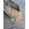 Ernst Grain's Soybeans, Non-GMO (50 lb)