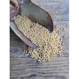 Ernst Grain's Soybeans, Non-GMO (50 lb)