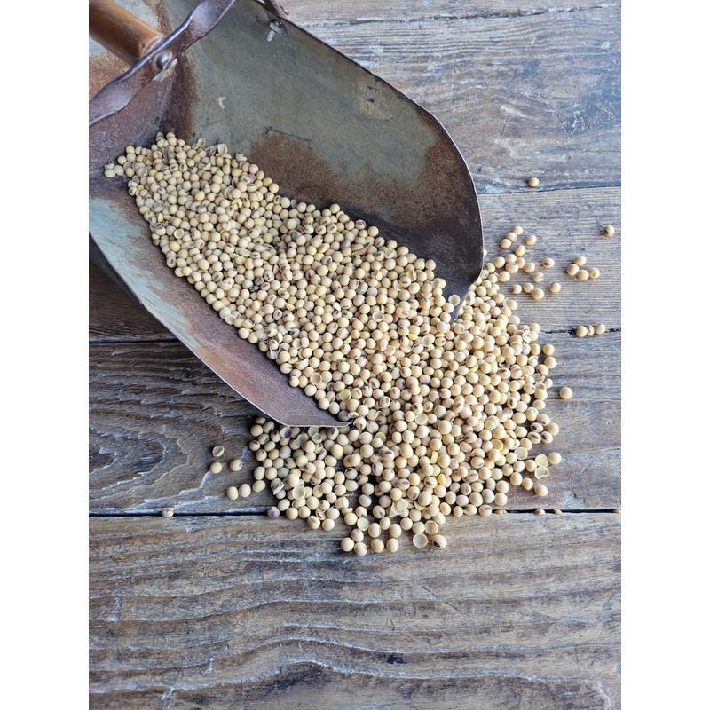 Ernst Grain's Soybeans, Non-GMO (50 lb)