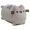 GUND Pusheen Phone and Computer Screen Cleaner Plush Stuffed Animal