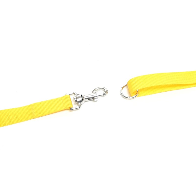 100ft 30m Long Dog Training Lead Obedience Recall Horse Tracking