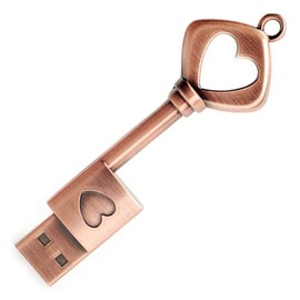 Funny Metal Copper Heart Shape Key USB Flash Drive USB 2.0 Flash Drive Dual Type (64G)