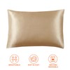 EHEYCIGA Satin Pillowcase Standard Set of 2, Silk Pillowcases for