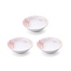 Kanese Mino Ware Flower Rabbit Medium Pot (Set of 3)