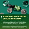 Stinging Nettle Leaf Extract Liquid Drops - USDA Organic -