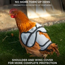 COOPED UP Canvas Chicken Saddle for Medium-Large Hens with Larger Wing Cover and Adjustable Straps - Variety, 4 Pack