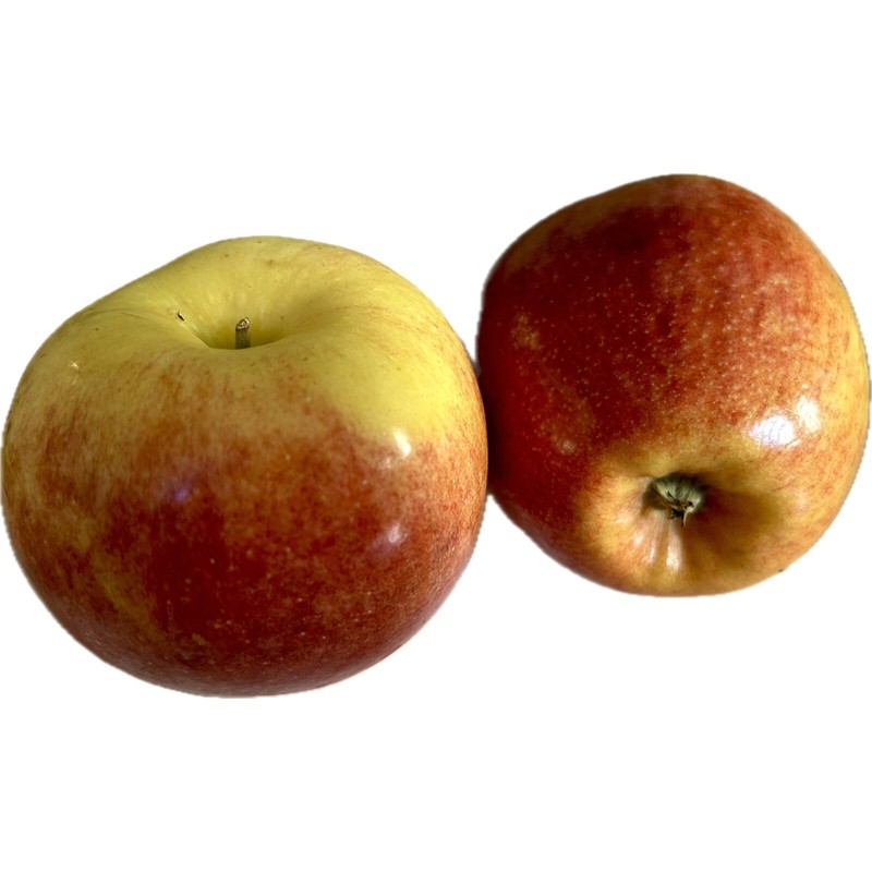 Home-Growth Extra sweet, crispy Envy Apple - 10 Seeds 2024