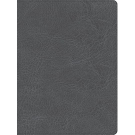CSB He Reads Truth Bible, Smoke LeatherTouch, Black Letter, Wide Margins, Notetaking Space, Reading Plans, Easy-to-Read Bible Serif Type