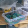 (Set of 6)- 4L Litre Clear Plastic Storage Box with
