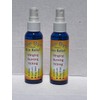 Bye Bye Sunburn Pain and Sting Relief Spray (2.2 oz