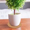 BUYGOO 10Pcs Cork Plant Mat Round Cork Plant Coasters 4/6/8