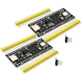 RP2040-YD Raspberry Pi Pico, 16MB Flash, USB Type-C, Improved and Pin Compatible with Original Raspberry Pi Pico (2 Boards)