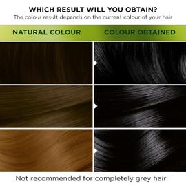 Garnier Nutrisse Ultra Color, Permanent Hair Dye, Intense Colour, For All Hair Types, 1.10 Infinite Black