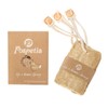 Natural Loofah Loofah Loofah Bath Sponge Bath Sponge Exfoliating Bath