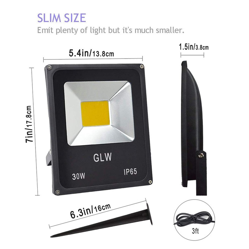 GLW 30W LED Flood Light 12V~24V AC/DC Outdoor Landscape Lighting