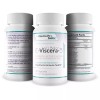 40 Billion E-Viscera-3 Probiotic Supplement - Digestive and Immune Health