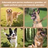 Collar para Perro Táctico Resistente y Ajustable con Correa Táctica